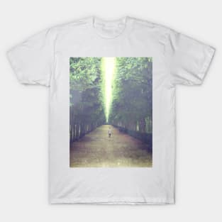 The Height of Trees T-Shirt